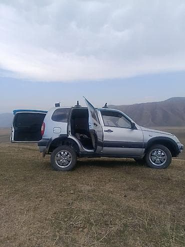 ниваа: Chevrolet Niva: 2006 г., 0.7 л, Ручные, Бензин, Кроссовер — 6