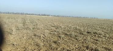 пекарь бишкек: 2400 соток, Айыл чарба үчүн — 3