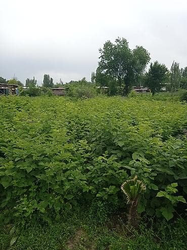 дом с арашан: Дом с внутренним двором и террасой/верандой. - Одноэтажный жилой дом — 7