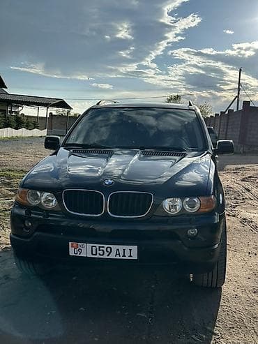 BMW X5: 2005 г., 3 л, Автомат, Дизель, Внедорожник