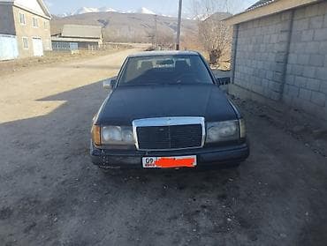 Mercedes-Benz W124: 1989 г., 2.9 л, Ручные, Дизель, Седан — 2