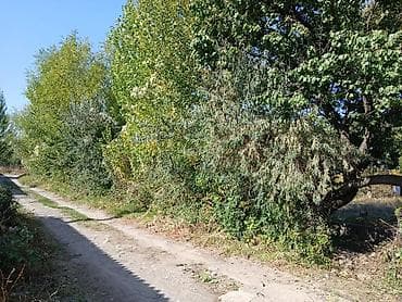 Кыймылсыз мүлк: 4 соток, Курулуш, Техпаспорт — 3