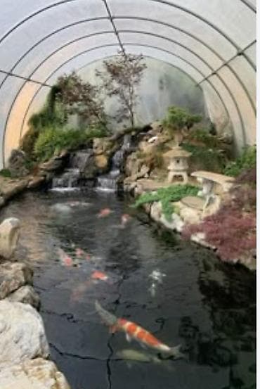 мобильные бани: Для зона отдыха, для разведения рыб; Пруды, декоротивные бассейны — 4