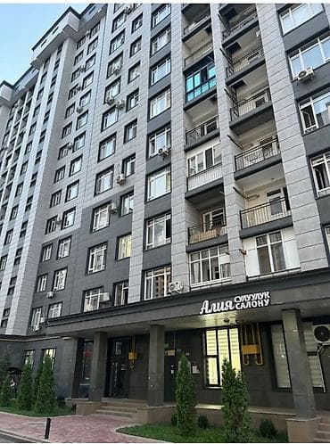 binar: 2 комнаты, 62 м², Джал мкр (в т.ч. Верхний, Нижний, Средний) Элитка, 13 этаж, Евроремонт — 8