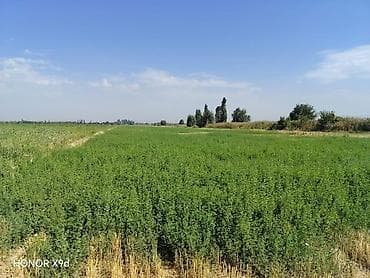 квартира 2 к: 400 соток, Для сельского хозяйства, Договор купли-продажи — 3