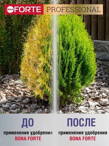 удобрения для клубники: Удобрение Самовывоз, Платная доставка — 4