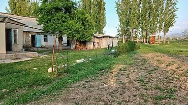 студия записи: 🚨 Срочно продаётся большой кирпичный дом с участком 18 соток! 📍 — 4