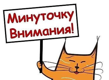 Ищу работу,желательно с проживанием. Можно и без. Мне 20 лет. Есть at lalafo.kg Ищу работу,желательно с проживанием. Можно и без. Мне 20 лет. Есть