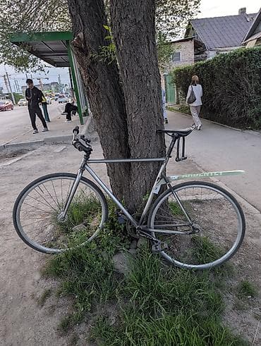 шимано: Грей ф12 лоу про Ростовка 55 (L) Виллсет: обода veloline plusque — 3