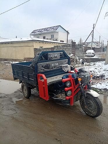 трёхколесный мотоцикл: Легкий грузовик — 1