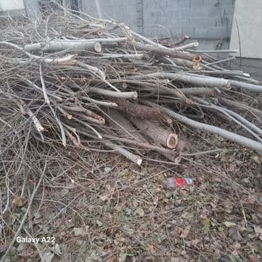 Уголь: Дрова Тополь — 1