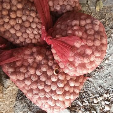 Здравствуйте!Продаётся тонкокорый,сладкий грецкий орех в большом