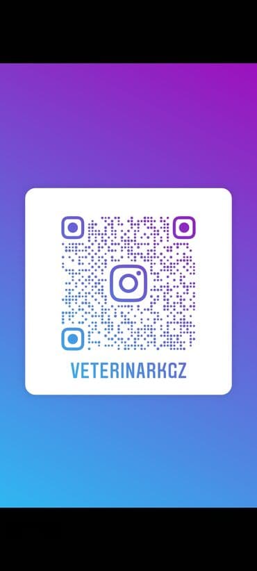 ветеринар вызов дом в бишкеке: Ветеринарный врач на выезд Онлайн консультация — 2