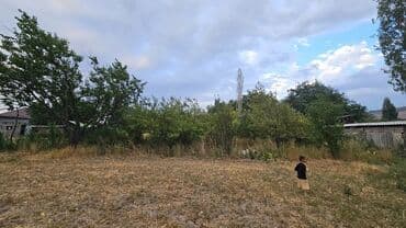 дом шопокове: 25 соток, Красная книга — 16