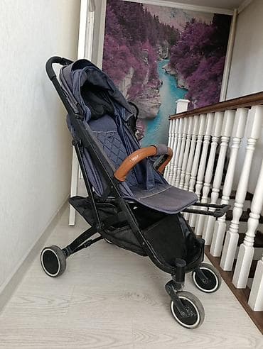 easy walker: Прогулочная коляска-трость/компактная коляска - Легкая складная — 1