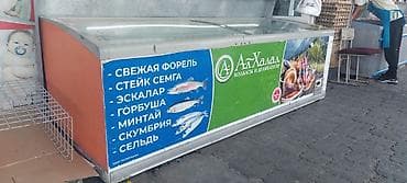 балык чарба: Продам морозильник 2.5 мтр.
В рабочем состоянии фирма ARNEG — 2