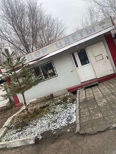 прибыльный цветочный бизнес: Продажа бизнеса Торговый контейнер, Цветы, Вместе с: Оборудование и мебель — 4