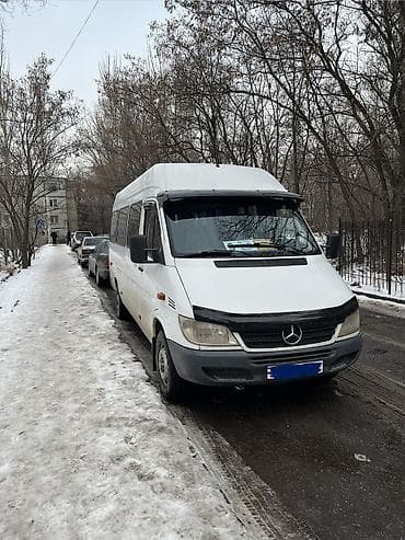 Mercedes-Benz Спринтер: 2004 г., 2.9 л, Механика, Дизель, Бус