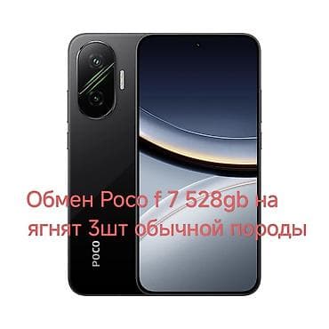 poco s3: Poco F7, 512 ГБ — 2