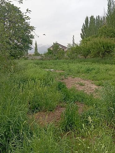 участок сату: 15 соток, Курулуш, Кызыл китеп, Сатып алуу-сатуу келишими — 3