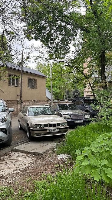 s 600: Mercedes-Benz S-Class: 1997 г., 5 л, Автомат, Бензин, Седан — 4