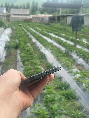 ремонт тараза: IPhone 15 Pro, Колдонулган, Black Titanium, 95 % — 5