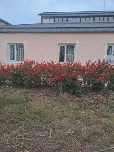 дом бишкек продаю: Дом, 170 м², 8 комнат, Собственник, Косметический ремонт — 3