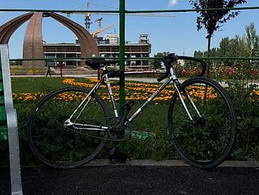 сингл фикс: Фикс–байк (single speed/fixed gear) с трековой посадкой и — 2