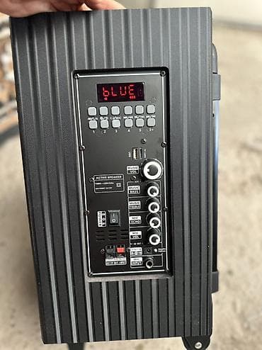 Портативная аккумуляторная акустическая система SSRJ SS-3101 Основные — 5
