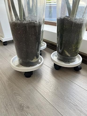 small table: Подставка на колесиках для комнатных растений Размеры маленький — 2