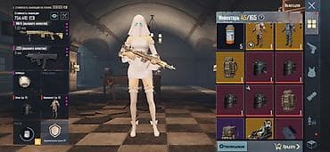 для карт: Игровой аккаунт PUBG MOBILE Содержимое и особенности: - Royale Pass — 3