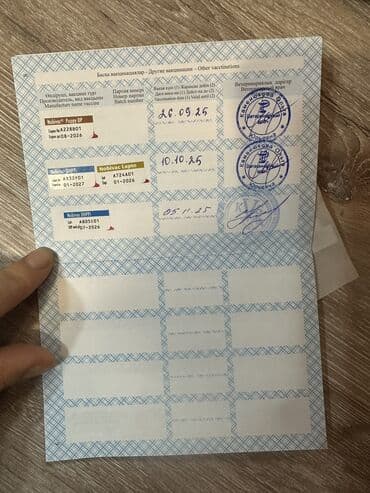 немецкая овчарка цена щенка: Сиба-ину, 2 месяца, Самец, С прививкой — 13