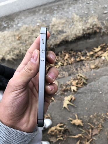 аудио системы: IPhone 5s, Б/у, 16 ГБ, Space Gray, Чехол — 5