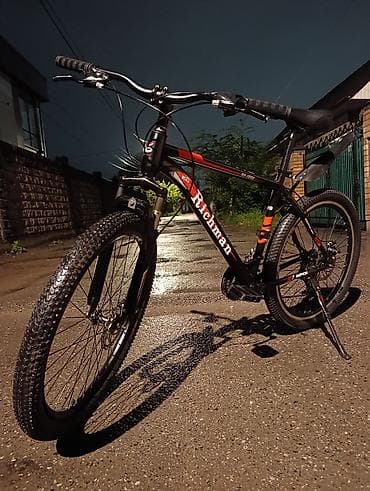 terrain: Горный велосипед, Сталь — 5