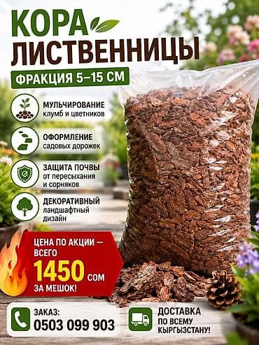 Лиственница at lalafo.kg Лиственница