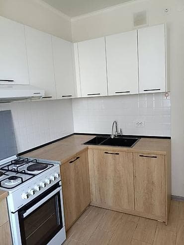 Кыймылсыз мүлк: 1 бөлмө, Менчик ээси, Чогуу жашоосу жок, Толугу менен эмереги бар — 1