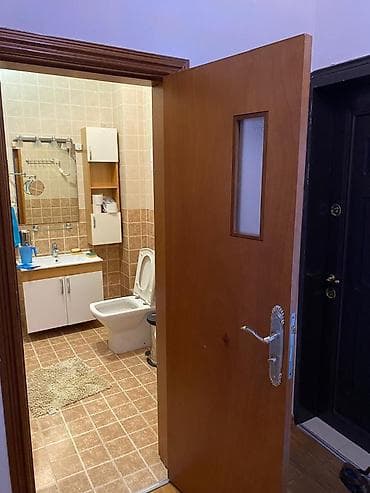 Батир сатып алам: 3 бөлмө, Риелтор, Чогуу жашоосу жок, Толугу менен эмереги бар — 8