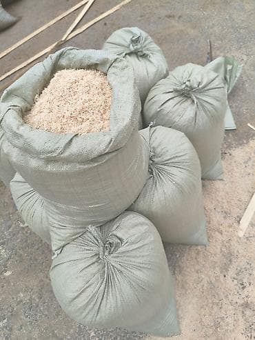 живые рыбы бишкек: Опилки — 1