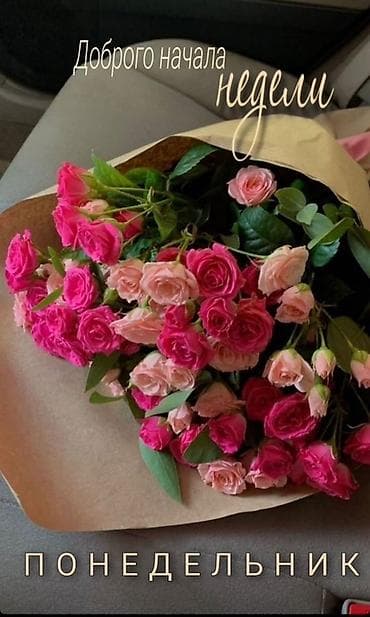 Үй жана бакча: Букеты из свежих розовых и кремовых кустовых роз - Состав: пышные — 3