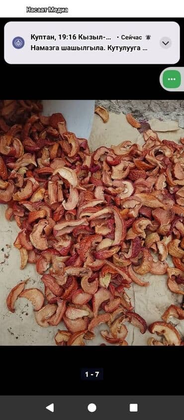 веник с совком цена бишкек: Хурма в ящиках - Сорт: хурма лепешка (не вяжет при полной — 11