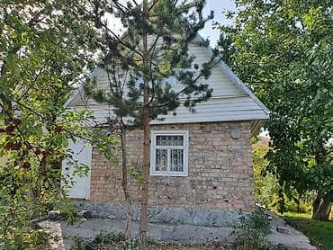 мансара: Сдаю в аренду на сезон Дачу в Горной маевке с садом и местом для — 2