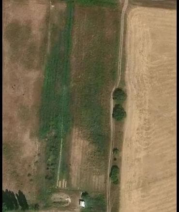 колоновидные яблони: 50 соток, Для сельского хозяйства, Договор купли-продажи — 1