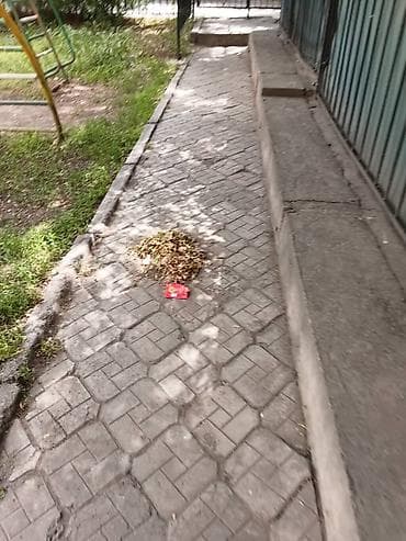 Уборщики: Требуется Уборщик, График: Пятидневка, Полный рабочий день — 7