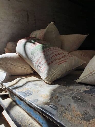 рэгдолл цена: Отруби отруби Отруб отруб Улпак улпак Улпаг улпак Кепек Кебек Кевек — 12