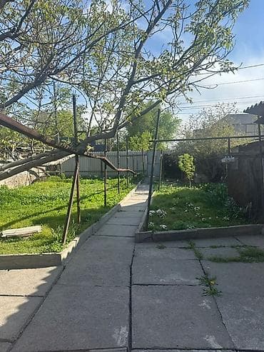 3 соток, Для бизнеса, Красная книга, Тех паспорт, Договор дарения — 3