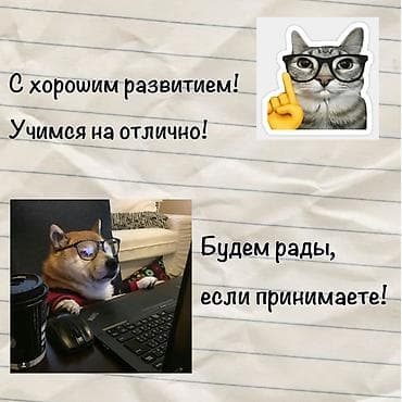 дедские наклейки: Очень хотим найти работу/подработку!Наше био в описании профиля! Наши — 1