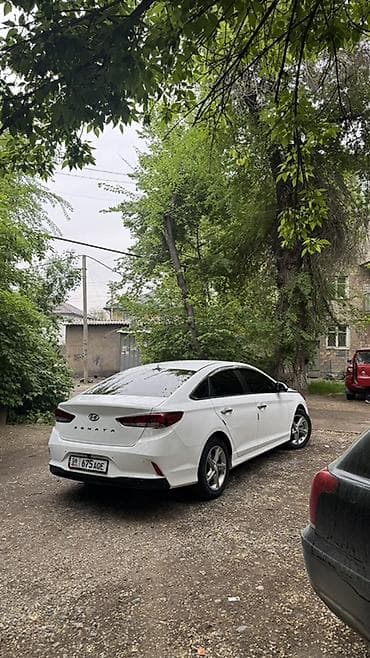 elantra 2020: Hyundai Sonata: 2020 г., 2 л, Автомат, Газ, Седан — 3