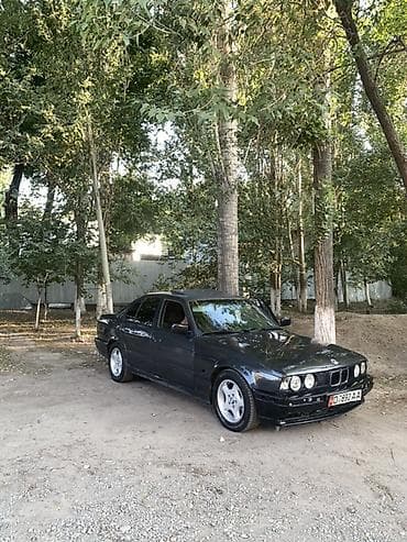 BMW 5 series: 1994 г., Седан