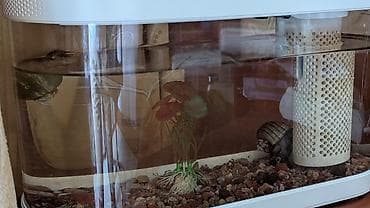 сеть для рыбы: Аквариум от сяоми Xiaomi Geometry Fish Tank — 2