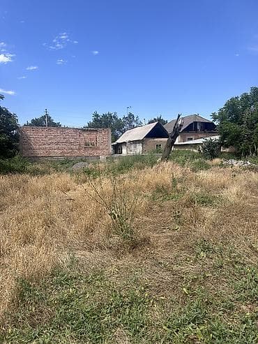 полья: 14 соток — 5